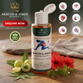 Advaid Muscles & Joints Pain Relief Oil